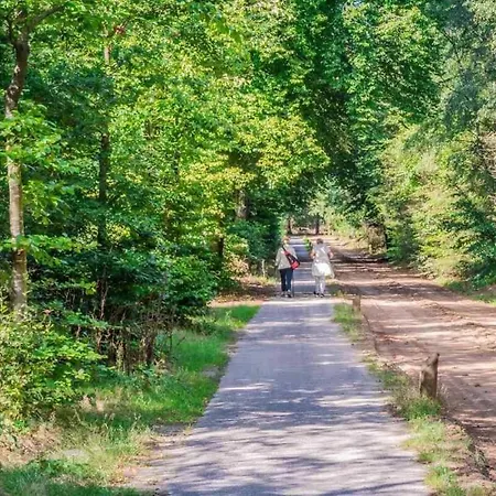 Nyaraló Charmant Chalet Op Een Bospark Op De Veluwe Putten