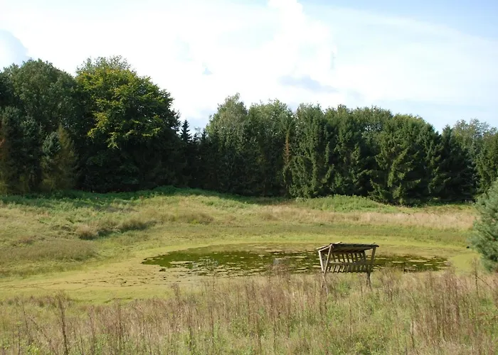 Charmant Chalet Op Een Bospark Op De Veluwe Сasa de vacaciones *