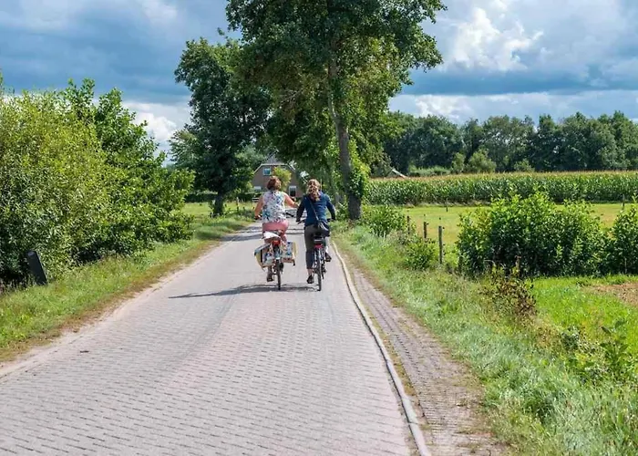 Charmant Chalet Op Een Bospark Op De Veluwe Putten