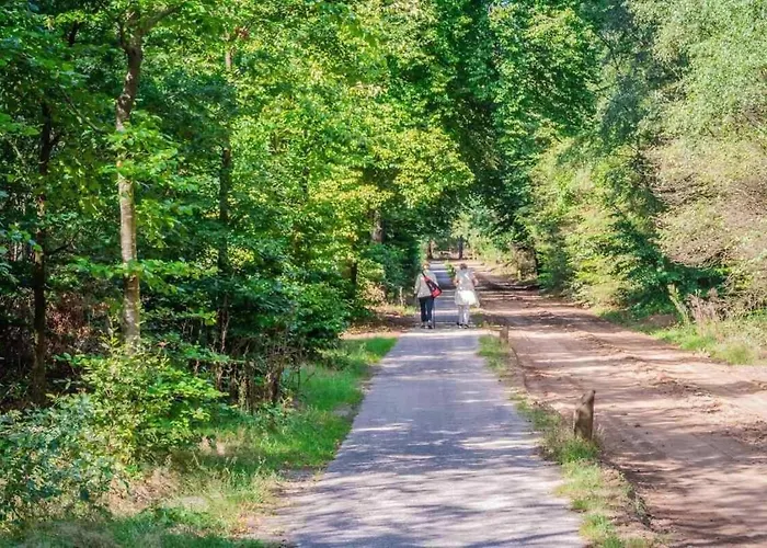 Сasa de vacaciones Charmant Chalet Op Een Bospark Op De Veluwe Putten